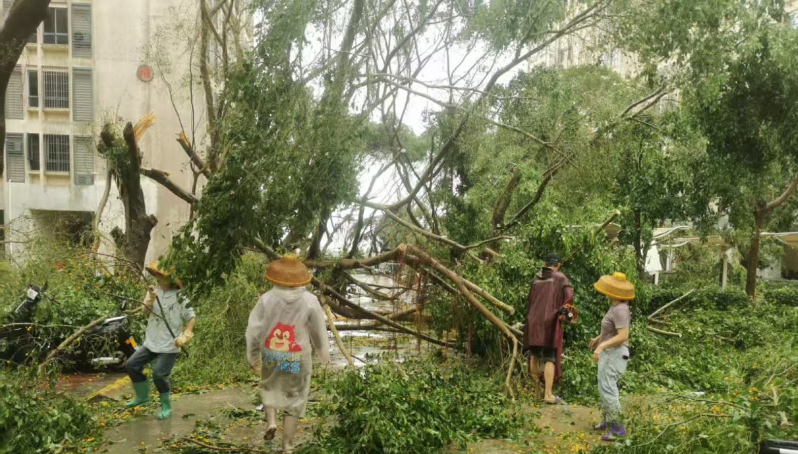 ok138电子官方网站